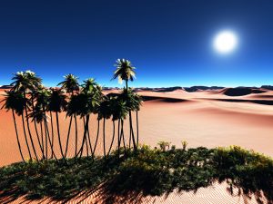 Photo d'un oasis dans le désert